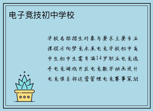 电子竞技初中学校